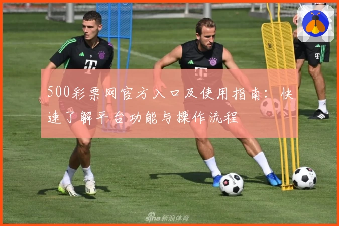 500彩票网官方入口及使用指南:快速了解平台功能与操作流程